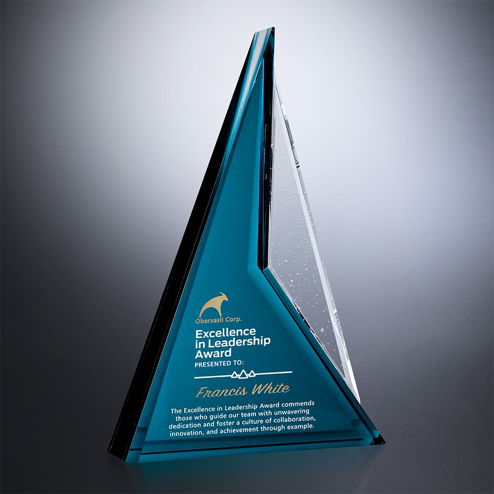 Endurance Award 10"