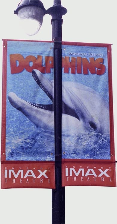 Two-Sided Pole Banner 30"x60" - Vinyl