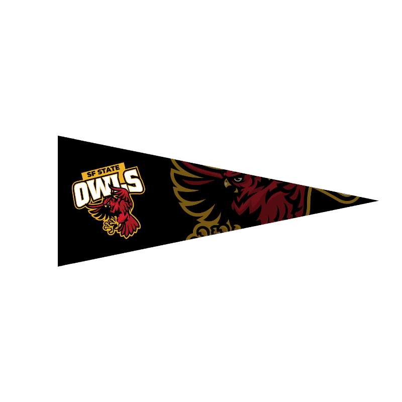 12" x 30" Full Color Felt Pennant